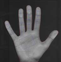 Hand sample 2 with extracted features.